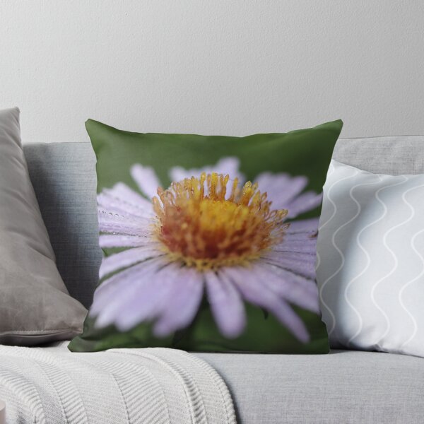 Item preview, Macro New Belgian aster with drops of morning dew - Cute Floral Gift designed and sold by r-silver.