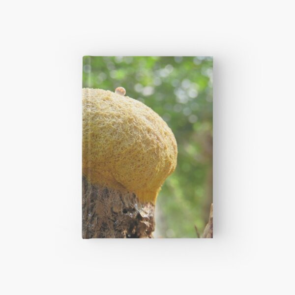Dog Vomit Slime Mold Hardcover Journal