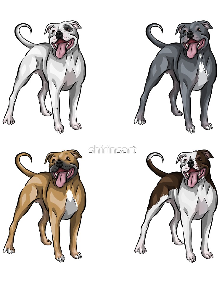 fawn staffordshire bull terrier