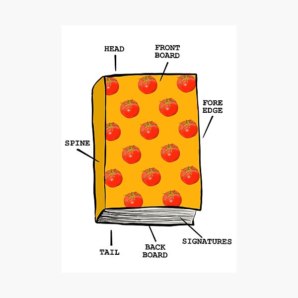 Book anatomy Photographic Print