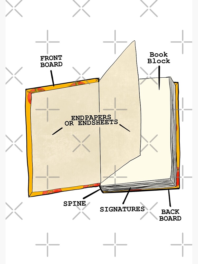 Book internal anatomy by adarovai
