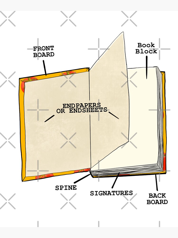 Book internal anatomy by adarovai