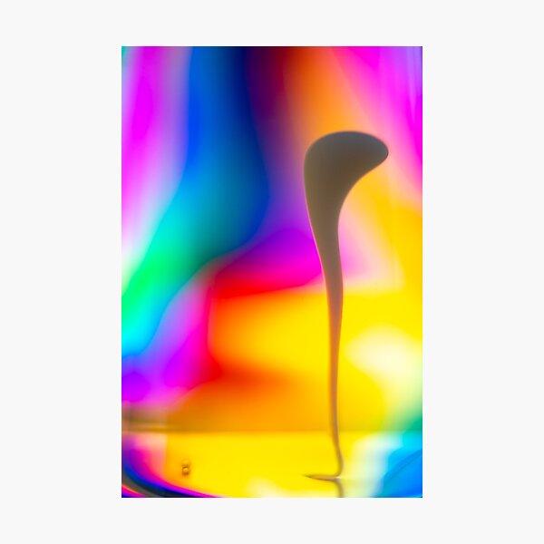 Photographic Print
