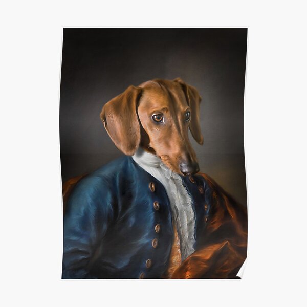 Short Haired Dachshund Portrait - Rueben Poster