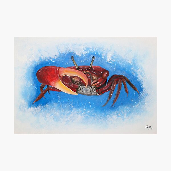 Vista previa del artículo con la obra «Crab», diseñado y vendido por sloeilustracion.