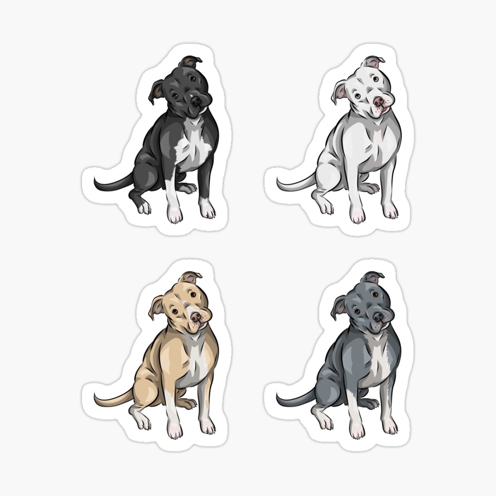 American Pit bull Terrier Collection | Black | White | Fawn | Blue | Cute Cartoon Dog Art American Pit bull Terrier Collection | Black | White | Fawn | Blue | Cute Cartoon Dog Art