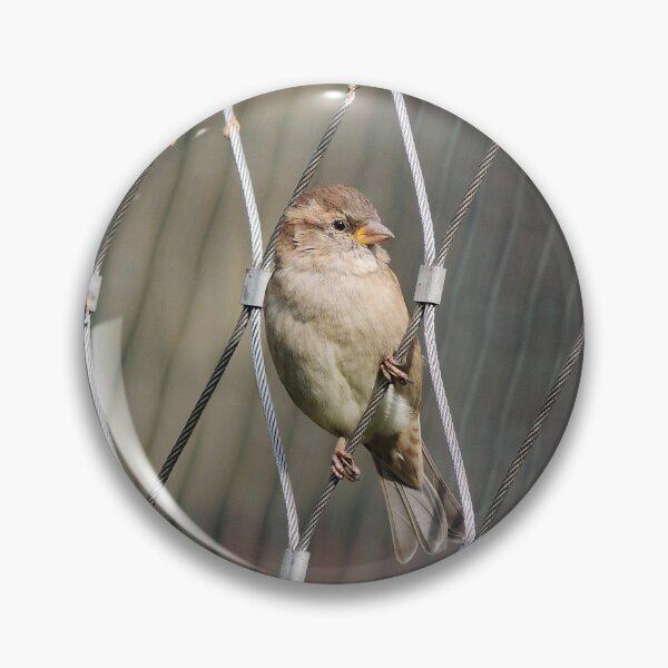 Item preview, No One To Join Me? designed and sold by Alexandra Lavizzari.