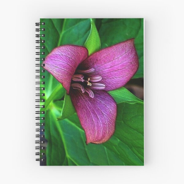 Item preview, The Trillium ! designed and sold by Elfriede Fulda.