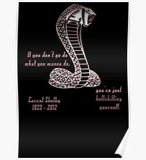 Carrol Shelby Memorial Poster