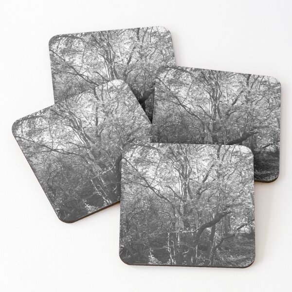 Item preview, Spring leaves and branches (monochrome), Hob Moor, York designed and sold by paulboizot.