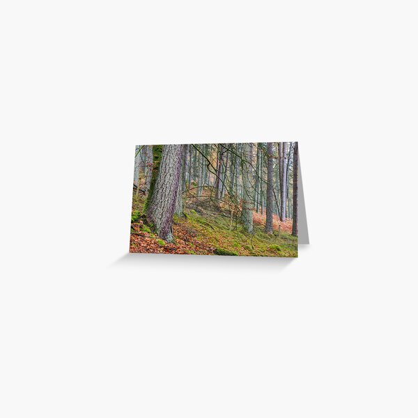 Pine Forest in Claerwen Valley Mid Wales Greeting Card