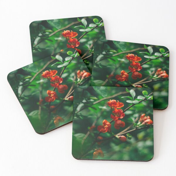 Item preview, Spring walk through the woods designed and sold by Nick Sidebottom.