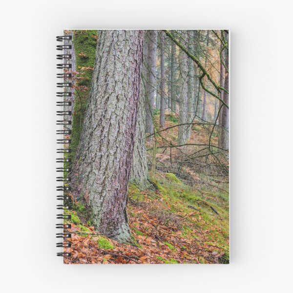 Item preview, Pine Forest in Claerwen Valley Mid Wales designed and sold by Cameranick.