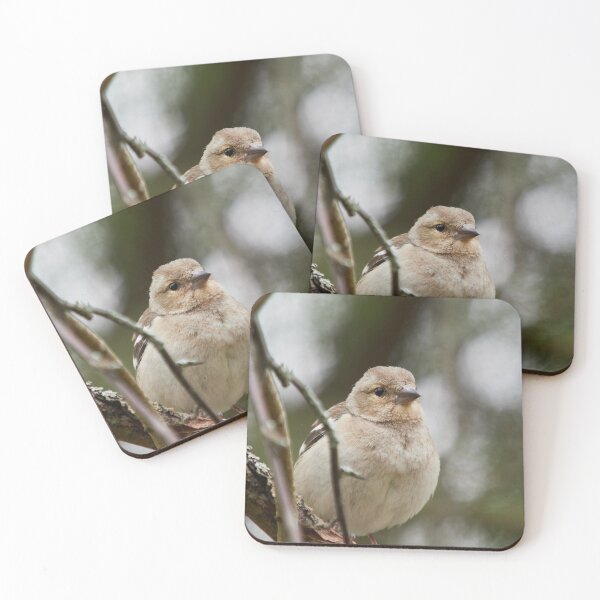 Item preview, Up close and personal. Common chaffinch designed and sold by Jouko Lehto Photography.