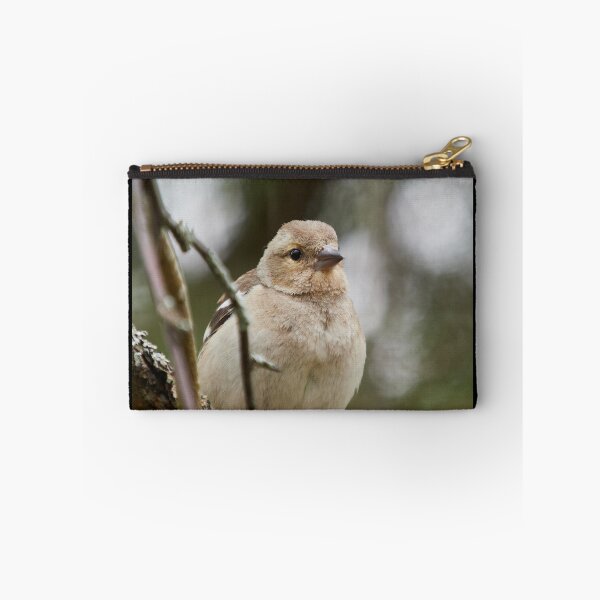 Item preview, Up close and personal. Common chaffinch designed and sold by Jouko Lehto Photography.
