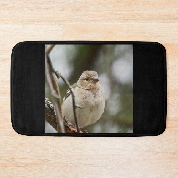 Item preview, Up close and personal. Common chaffinch designed and sold by Jouko Lehto Photography.