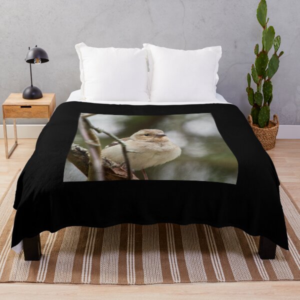 Item preview, Up close and personal. Common chaffinch designed and sold by Jouko Lehto Photography.