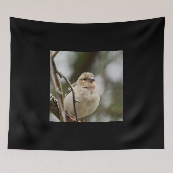 Item preview, Up close and personal. Common chaffinch designed and sold by Jouko Lehto Photography.