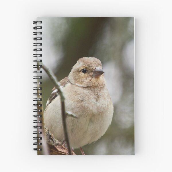 Item preview, Up close and personal. Common chaffinch designed and sold by Jouko Lehto Photography.