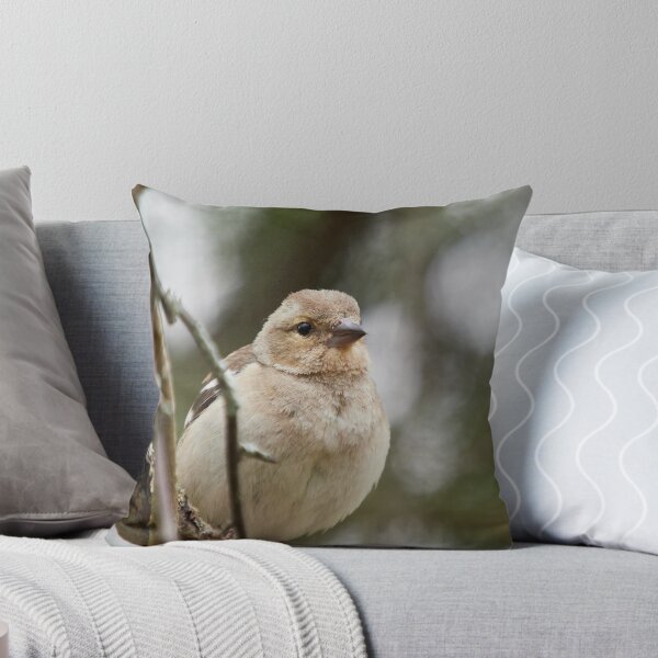 Item preview, Up close and personal. Common chaffinch designed and sold by Jouko Lehto Photography.
