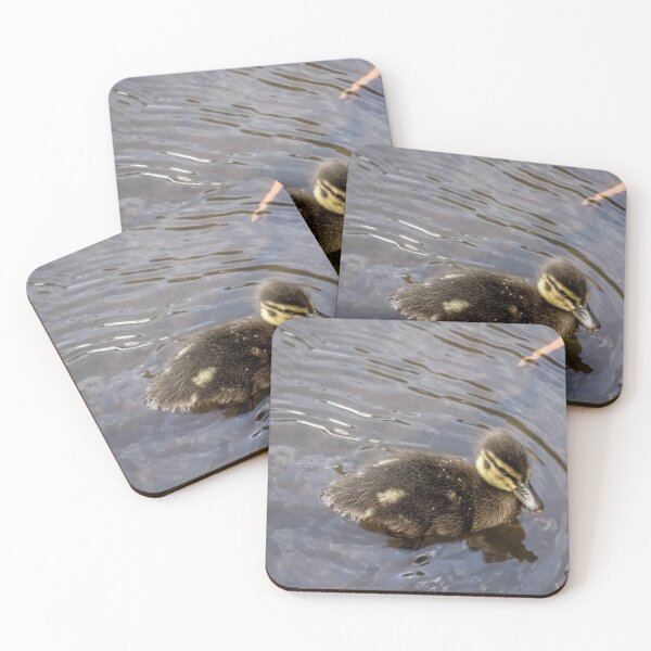 Item preview, Mallard duckling designed and sold by KcsArt87.