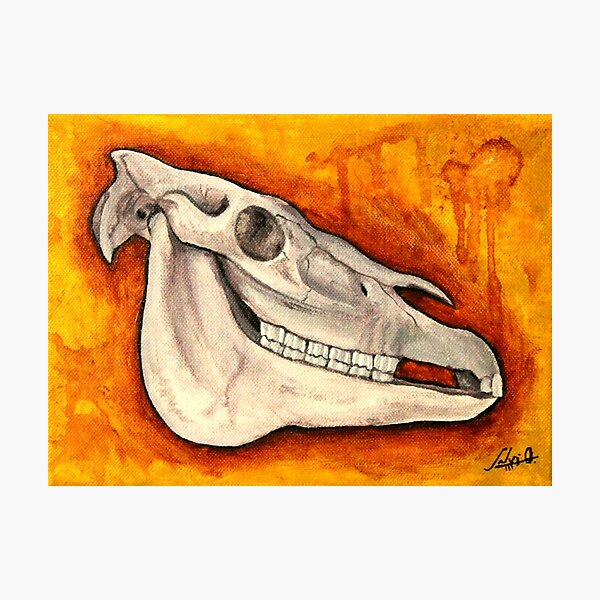 Vista previa del artículo con la obra «Horse skull», diseñado y vendido por sloeilustracion.