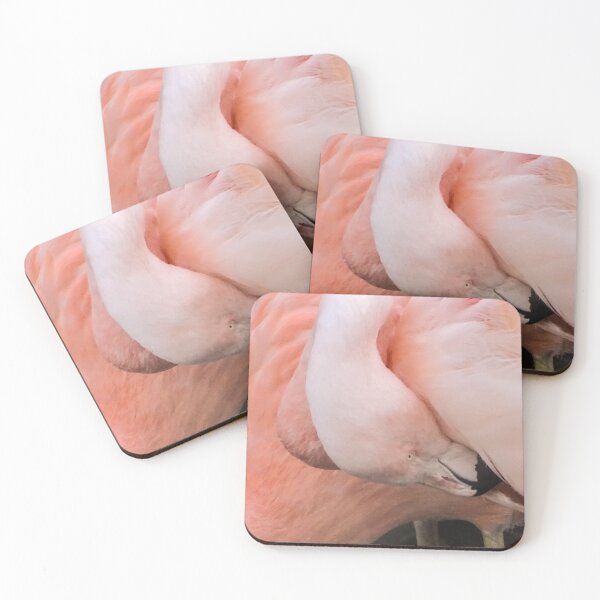 Item preview, Chilean Flamingo designed and sold by KcsArt87.