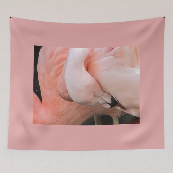 Item preview, Chilean Flamingo designed and sold by KcsArt87.