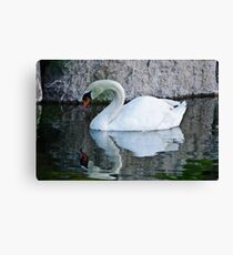 Mirror Mirror Canvas Print
