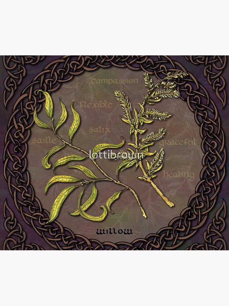 Celtic Willow by lottibrown