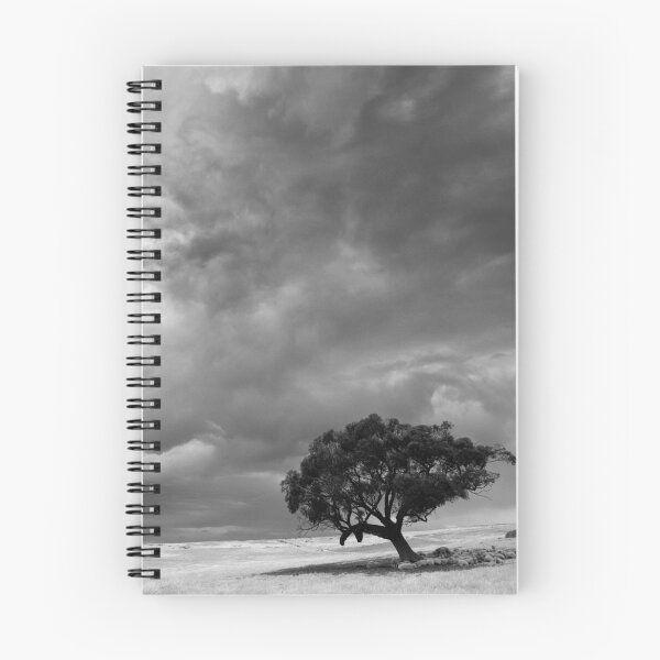 Item preview, Shelter from the angry sky - Victoria Australia designed and sold by Norman Repacholi | Keystone Photography.