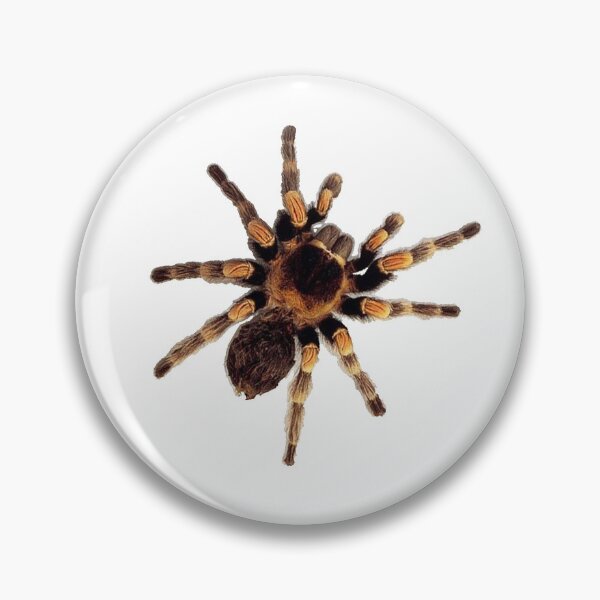 Item preview, Funny Climbing Tarantula Big Spider Lover  designed and sold by UniQueensShop.