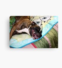 Ah...comfy Canvas Print