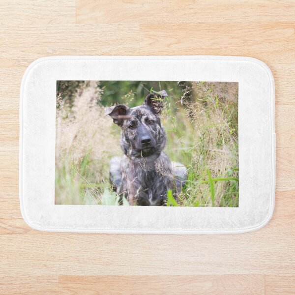 Item preview, Love is a four legged word designed and sold by twinnieE.