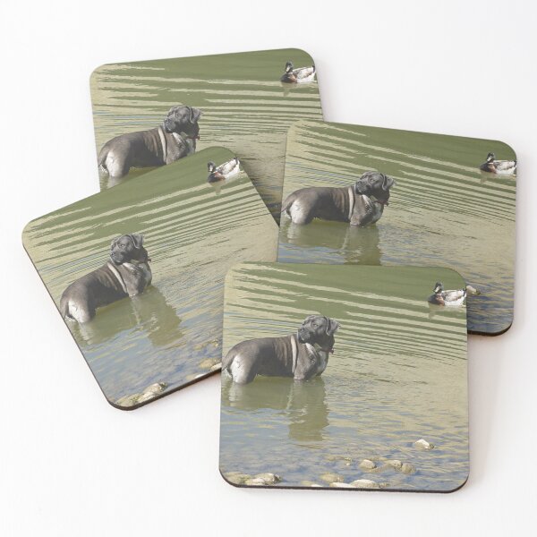 Item preview, The Dog And Duck. designed and sold by Paul Pasco.
