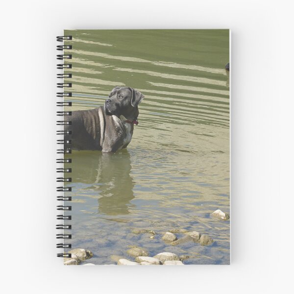 Item preview, The Dog And Duck. designed and sold by Paul Pasco.