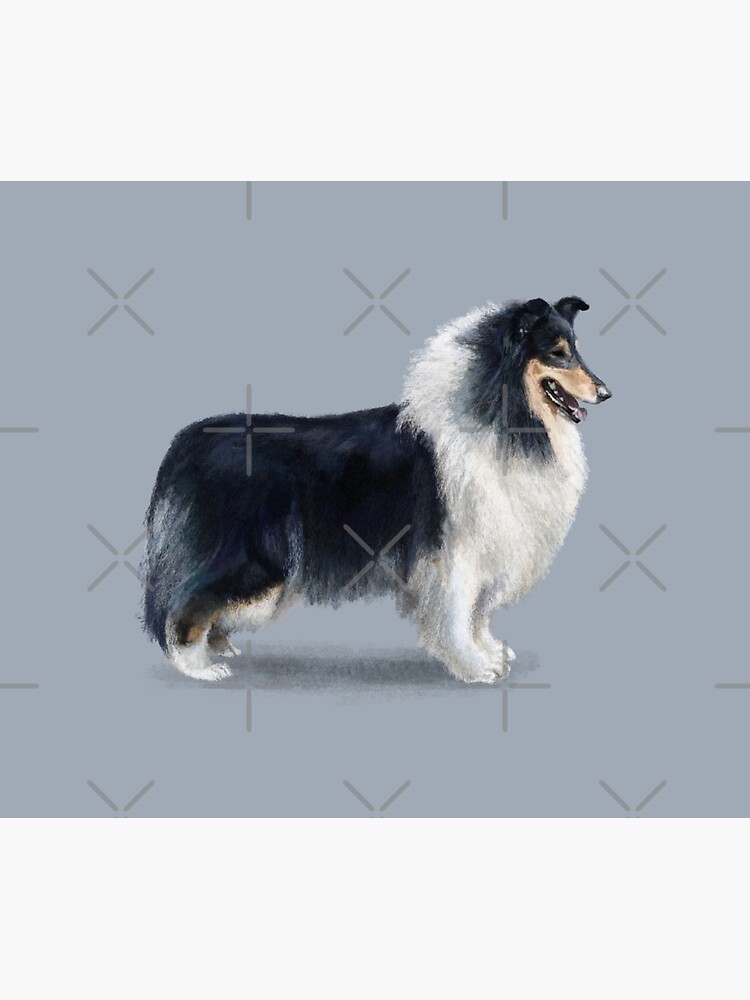 Tri Coloured Rough Collie by elspethrose