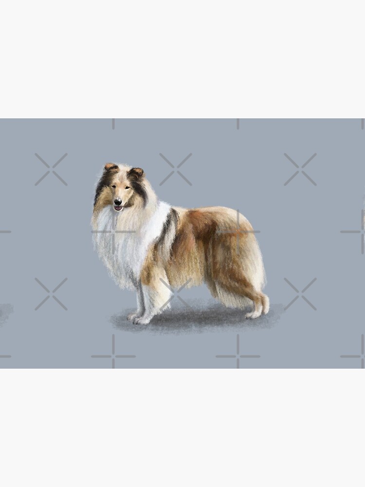 The Sable Rough Collie Dog by elspethrose