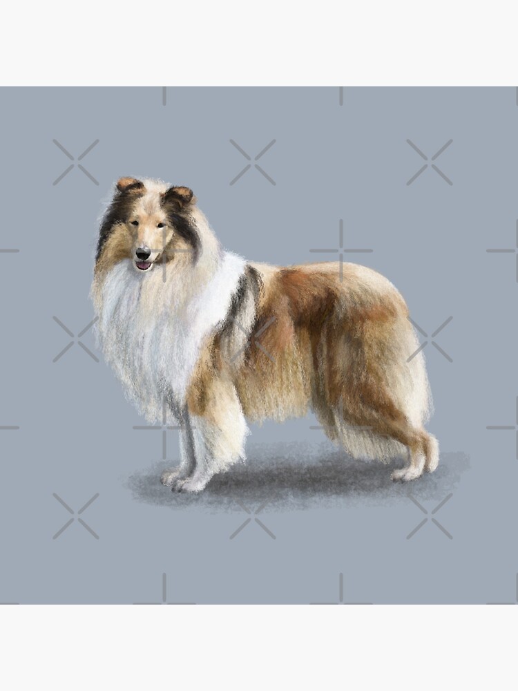 rough collie pillow