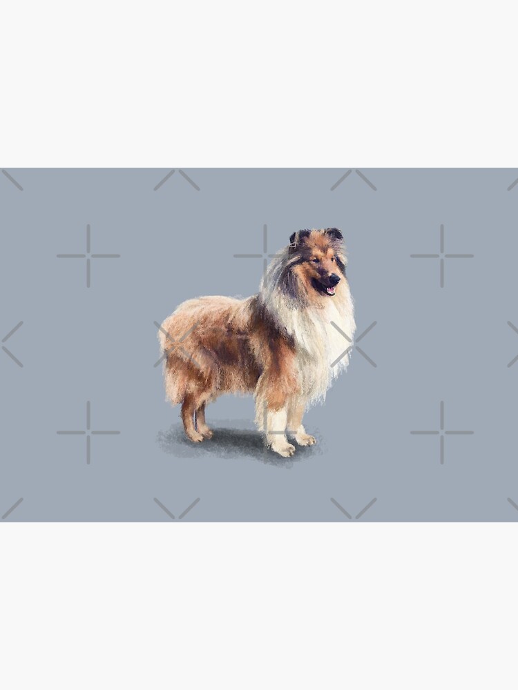 The Rough Collie by elspethrose