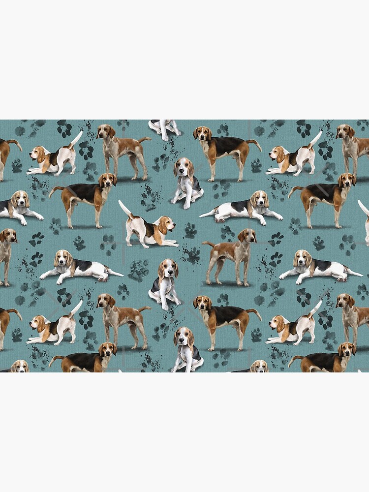 The Beagle by elspethrose