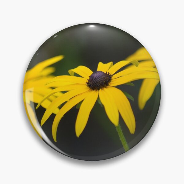 Item preview, Rudbeckia Fulgida Deamii designed and sold by Sally J Hunter.