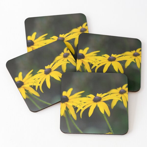 Item preview, Rudbeckia Fulgida Deamii designed and sold by Sally J Hunter.
