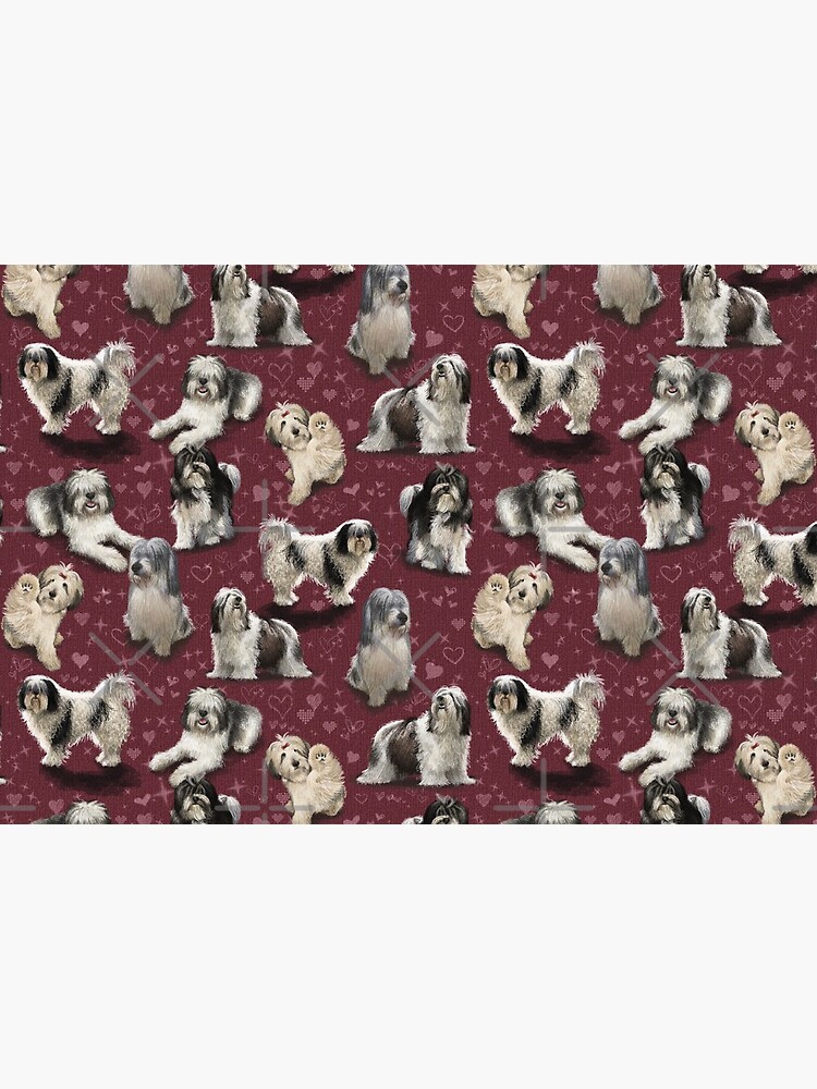 The Polish Lowland Sheepdog by elspethrose