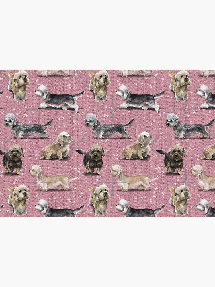 The Dandie Dinmont Pink by elspethrose