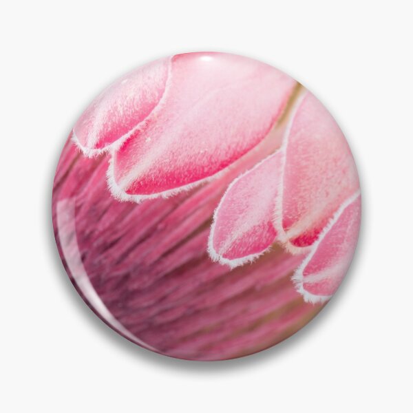 Item preview, Fynbos Botanical Collection 2 designed and sold by halimabeale.