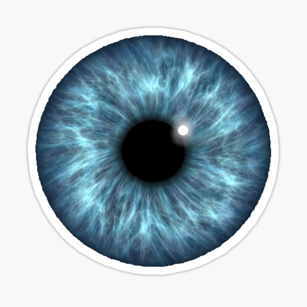 blue eye macro 25 crack download