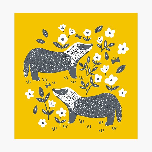 Badgers Photographic Print