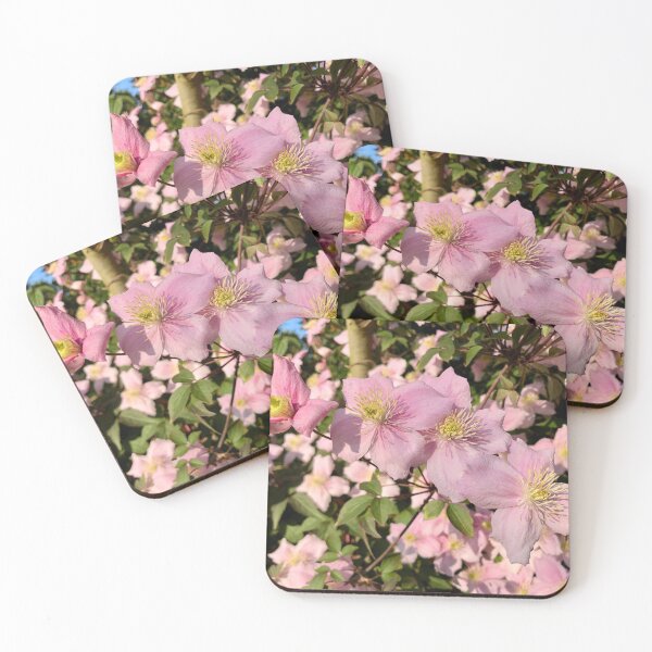 Item preview, Clematis - Montana Mayleen designed and sold by Sally J Hunter.