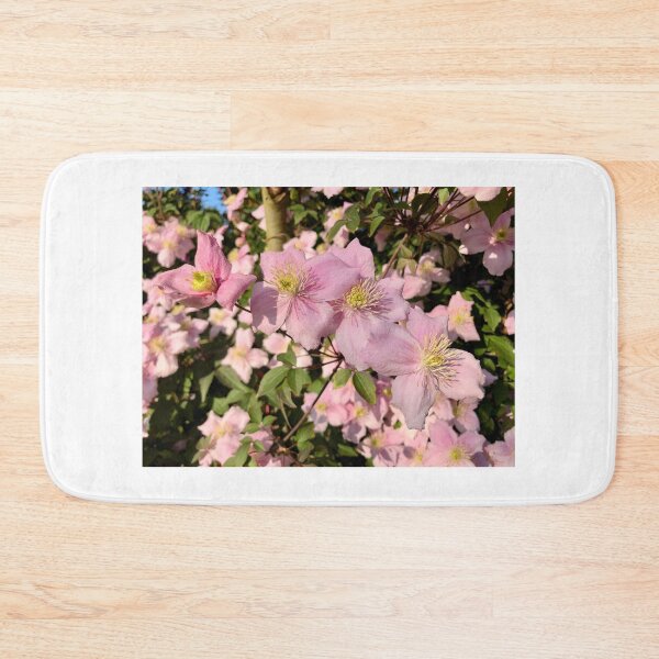 Item preview, Clematis - Montana Mayleen designed and sold by Sally J Hunter.